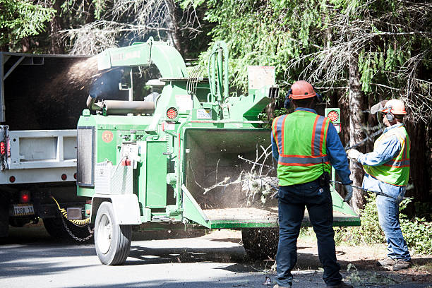 Best Seasonal Cleanup (Spring/Fall)  in Priest River, ID